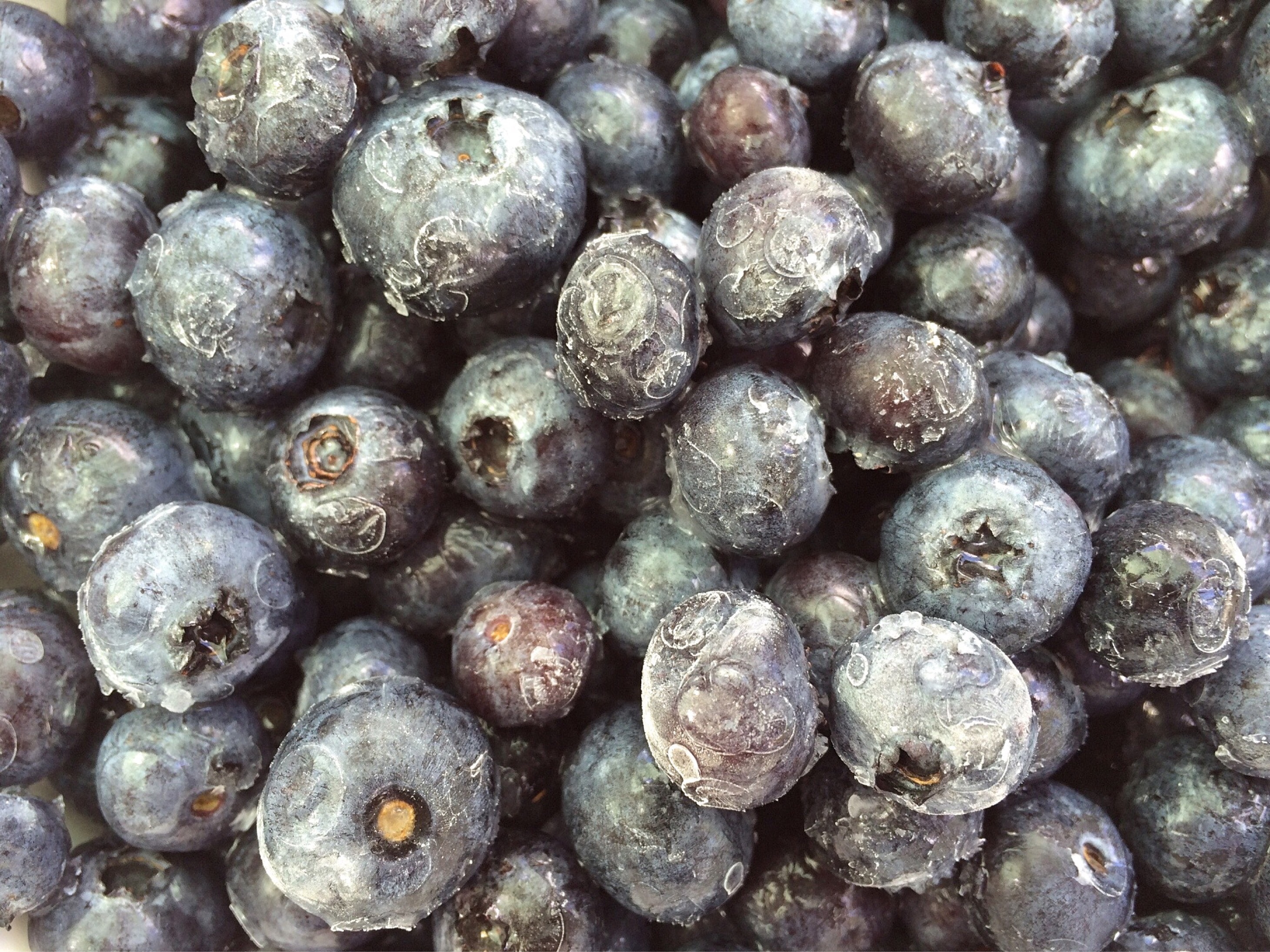 Frozen Blueberries